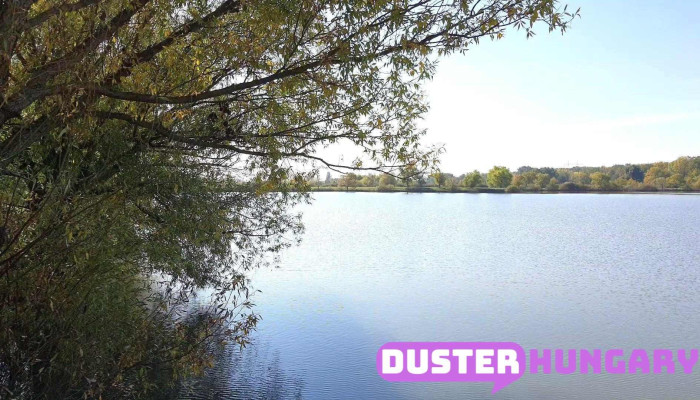 Rober -  To Horgaszto Videok - Demecser