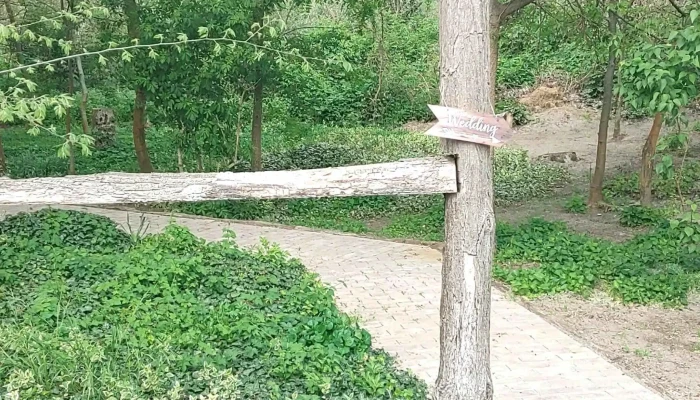 Rozsa Sandor Csarda   Zsombo Zsombo - Zsombó