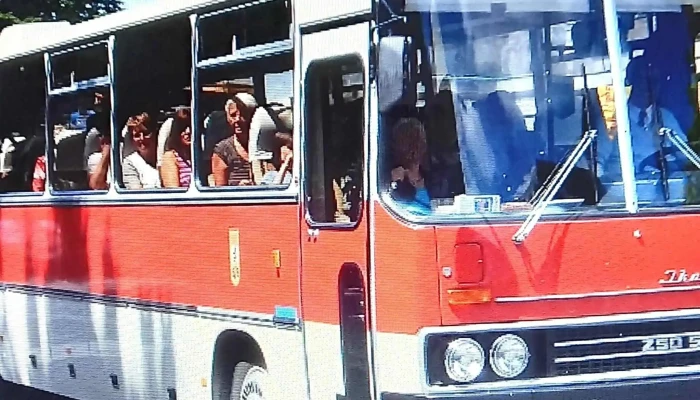 Salgglas Uvegipari Zrt Pontszam - Salgótarján