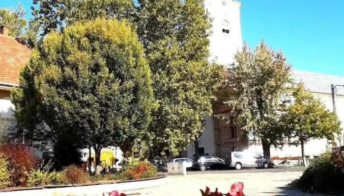 Sarkad - Sarkad