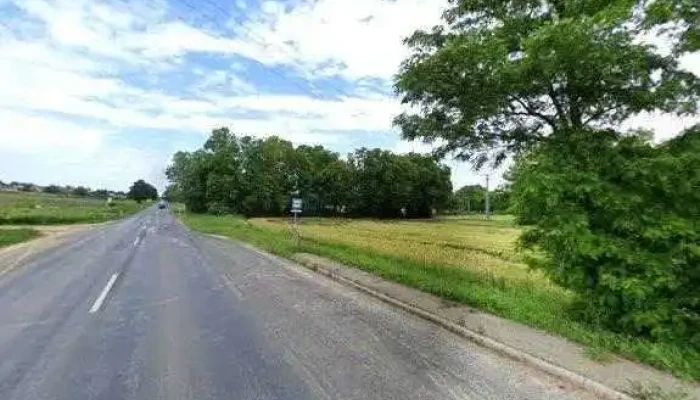 Sarmelleki Elagazas Osszes - Alsópáhok