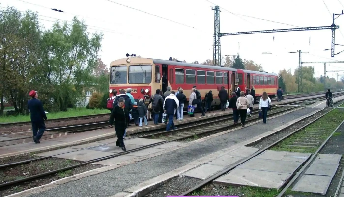 Sasd Osszes - Sásd