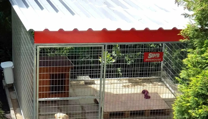 Sinb Kutyahaz Es Kutya Kennel Akcio - Vác