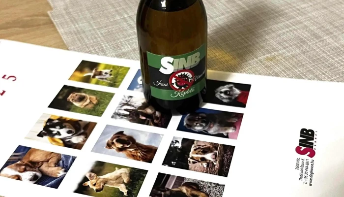 Sinb Kutyahaz Es Kutya Kennel Kennel - Vác