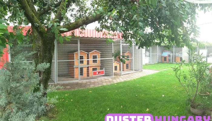 Sinb Kutyahaz Es Kutya Kennel Osszes - Vác