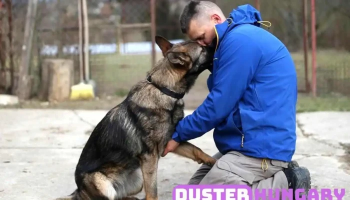 Skydog Kutyaiskola Kaposvar Skrek Roland Osszes - Kaposmérő