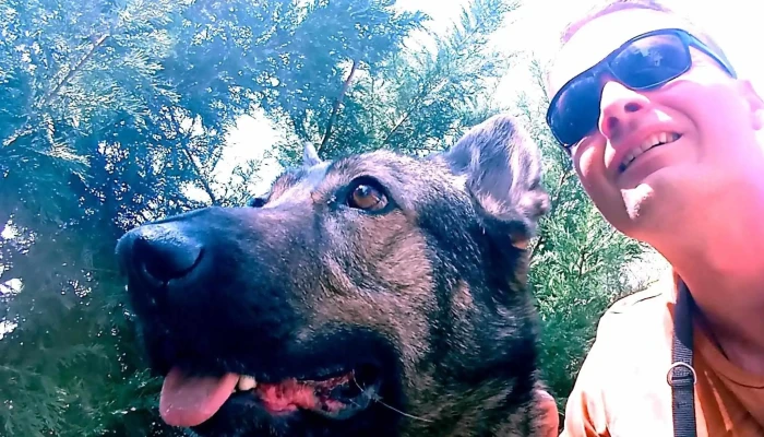 Skydog Kutyaiskola Kaposvar Skrek Roland Weboldal - Kaposmérő