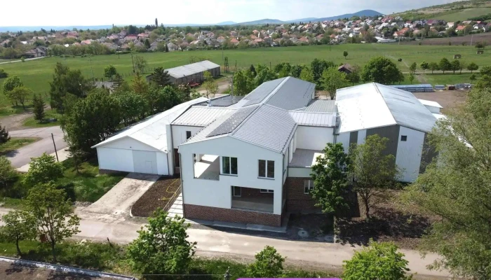 Solybor Szőlőtermelő és Szolgáltató Kft. - Szabadság Út 118