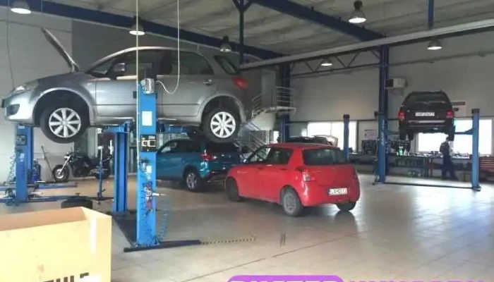 Suzuki Molnar Autohaz Belul - Győr