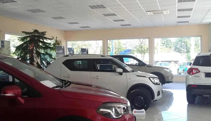 Suzuki Syscar Autoszerviz Belul - Baja