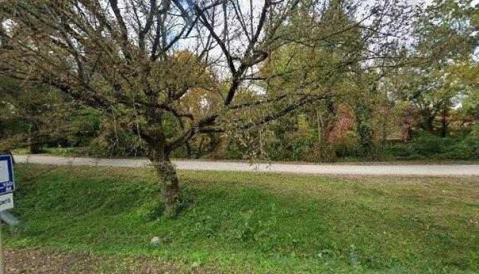 Sw Hungary Kft Szelvedo Csere Es Javitas Utcakep Es 360deg - Sződliget