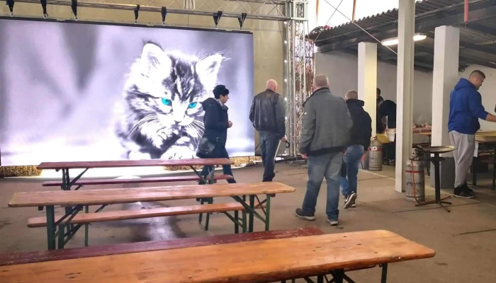 Szabadszallas Es Videke Takarekszovetkezet Bank - Szabadszállás