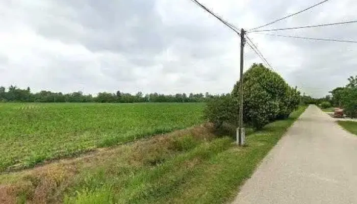 Szalkai Es Tarsa Bt Osszes - Békéscsaba