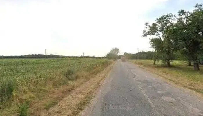 Szalkszentmarton Homokpuszta Osszes - Szalkszentmárton