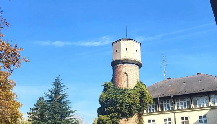 Szaplonczay Mano Marcali Korhaz Korhaz - Marcali