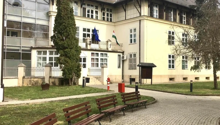Szaplonczay Mano Marcali Korhaz Nyitva Most - Marcali