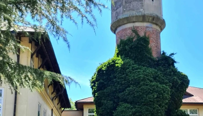 Szaplonczay Mano Marcali Korhaz Terulet - Marcali