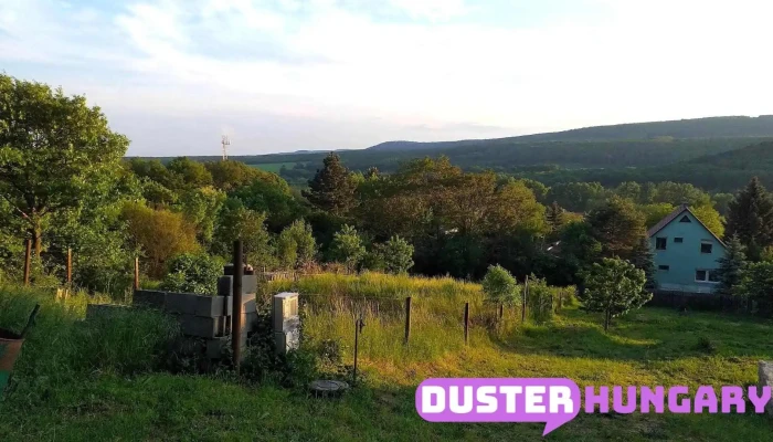 Szárliget - Szárliget