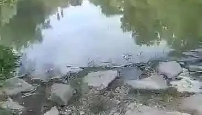 Szazhalombatta Videok - Százhalombatta