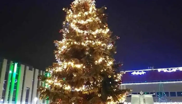 Százhalombattai Hírtükör - Promotion Service Nonprofit Kft. - Százhalombatta