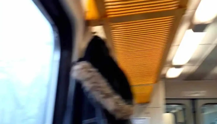 Szekkutas Videok - Székkutas