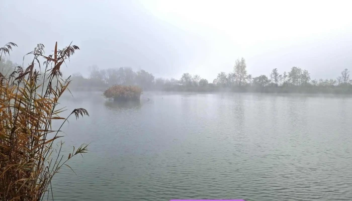 Szenas  Carp Osszes - Nagyszénás