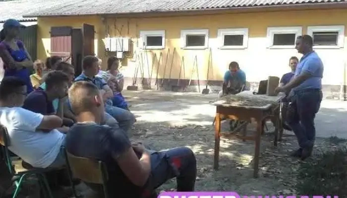 Szentlőrinci Szolanum Kft. - Szentlőrinc