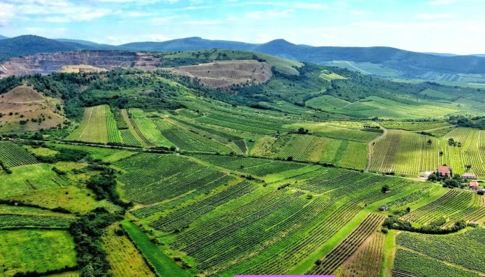 Szerencsi -  Hegy - Hungary