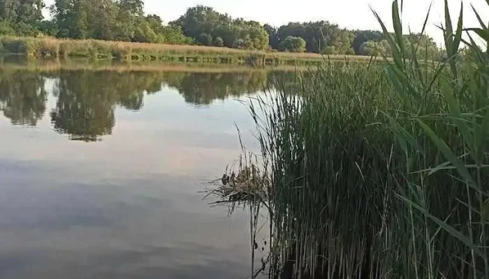 Szerencsi - Hungary