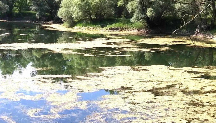 Szob Vasutallomas Videok - Szob
