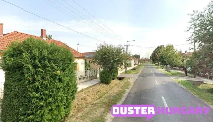 Takács és Leich kft - Egészségügyi Gázmester, rágcsálóirtás,kártevőirtás - Nagyatád