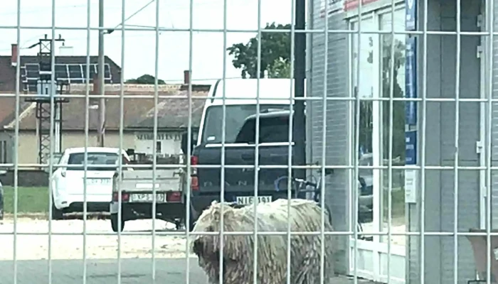 Takacs Gyula Vallalati Telephely - Sárvár