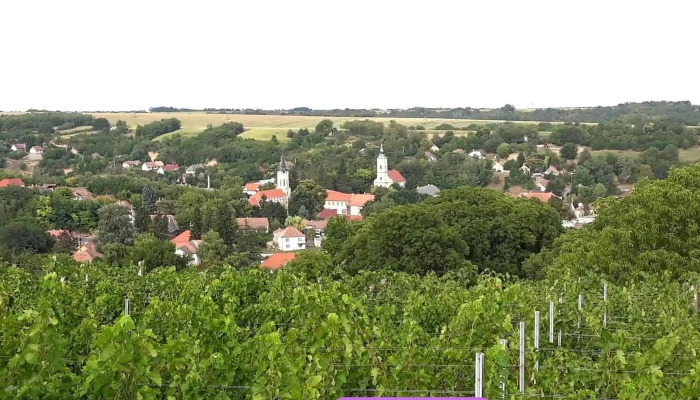 Tamasi Osszes - Hungary