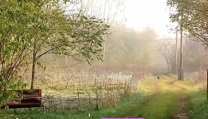 Tapioszolos Osszes - Tápiószőlős
