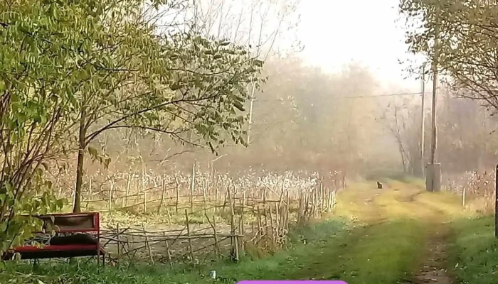 Tápiószőlős - Tápiószőlős