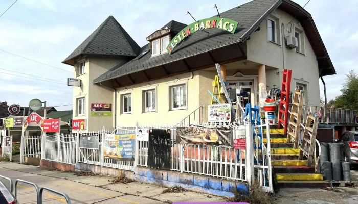 Timur Festek Es Barkacs A Tulajdonostol - Budapest
