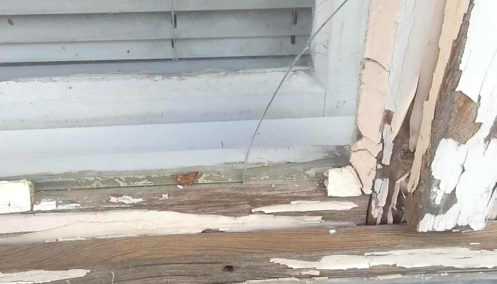 Tolna Megyei Kormanyhivatal Tamasi Jarasi Hivatal Foglalkoztatasi Osztaly Arak - Tamási