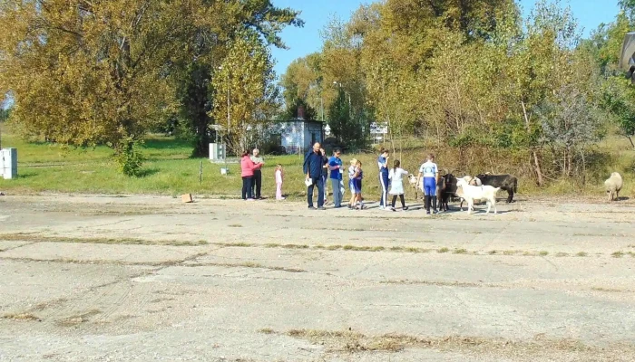 Toperini Ipari Park - Vác