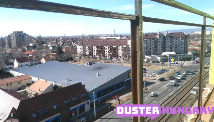 Uveges A Tulajdonostol - Budapest