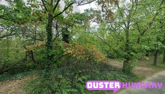Vác Göd Fót Dunakeszi - Lakatos, Kőműves, Térkövezés, Gipszkartonozás - Sződliget