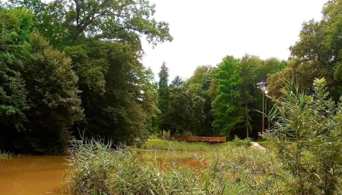 Vadaszlak Szam - Körmend