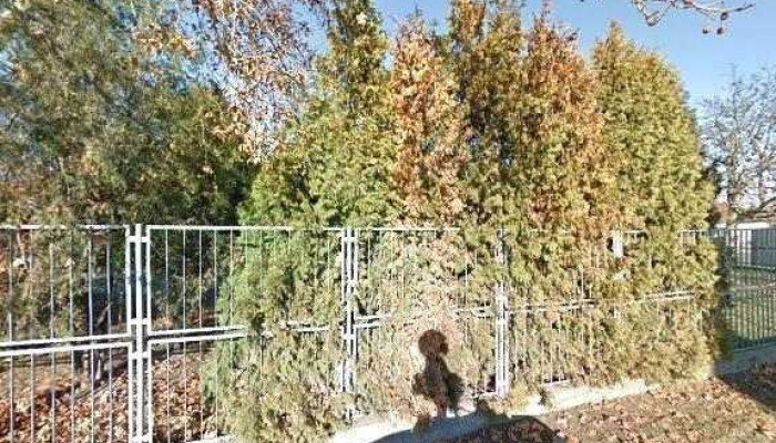 Vadex Zrt Vadfeldolgozo Soponyai Uzeme Utcakep Es 360deg - Soponya