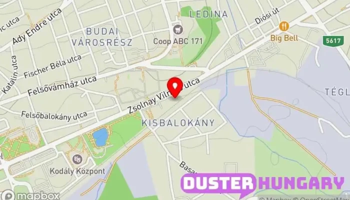 Varga Zoltán lakatos mester - Hungary
