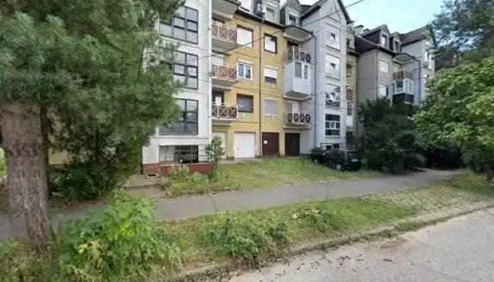 Veszelyes Fa Kivagas Emelokosaras Auto Berles   Green Lombtalanito Kft Utcakep Es 360deg - Balassagyarmat