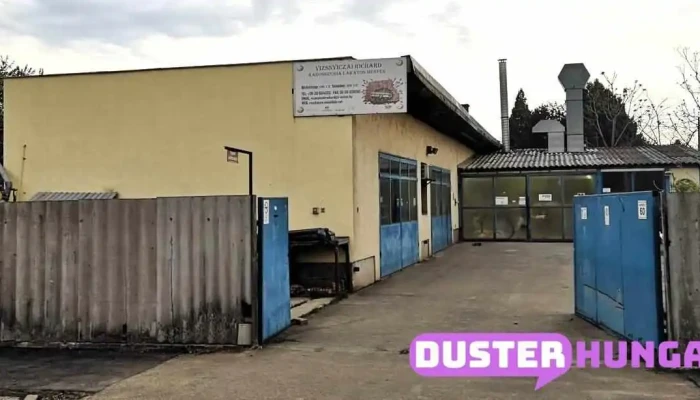 Vizsnyiczai Richard Karosszerialakatos Mester A Tulajdonostol - Békéscsaba