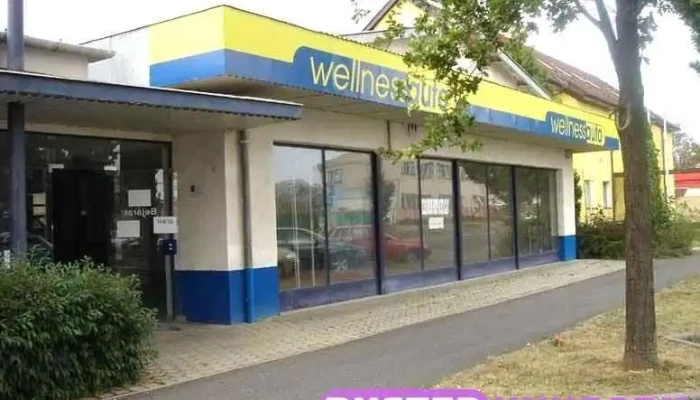 Wellnessauto Kft Kulso - Szombathely