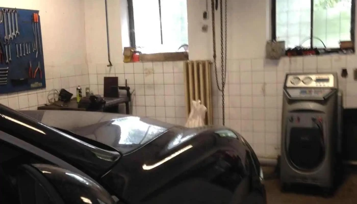 World Car Plus Kft Belul - Páty