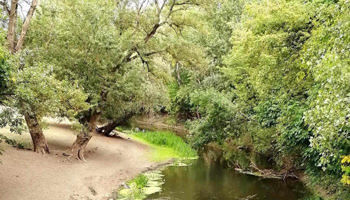 Zagyva Kohid Arak - Szolnok