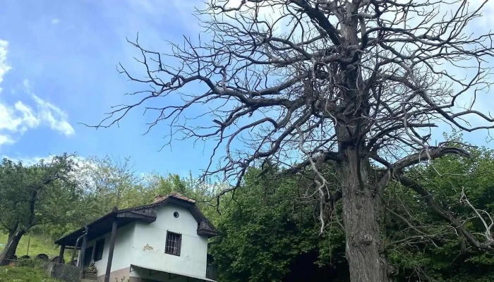 Zala -  Osszes - Zala