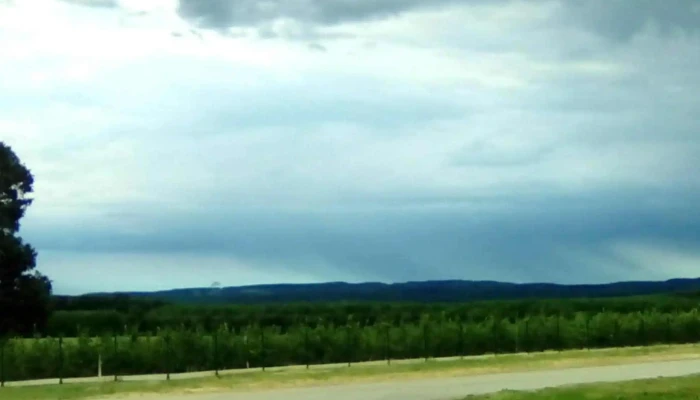 Zalagrar Kft Piac - Pókaszepetk
